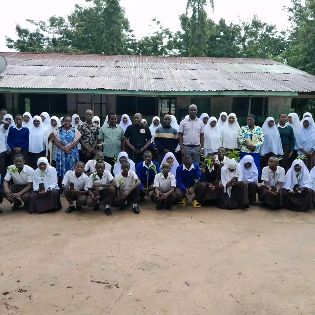 Growing sapling in Handeni